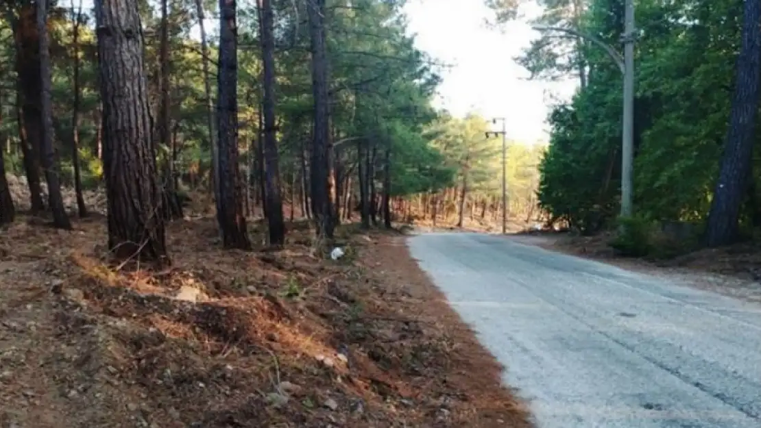 Muğla'da yangın sezonu öncesi  örtü temizliği çalışmaları başlıyor