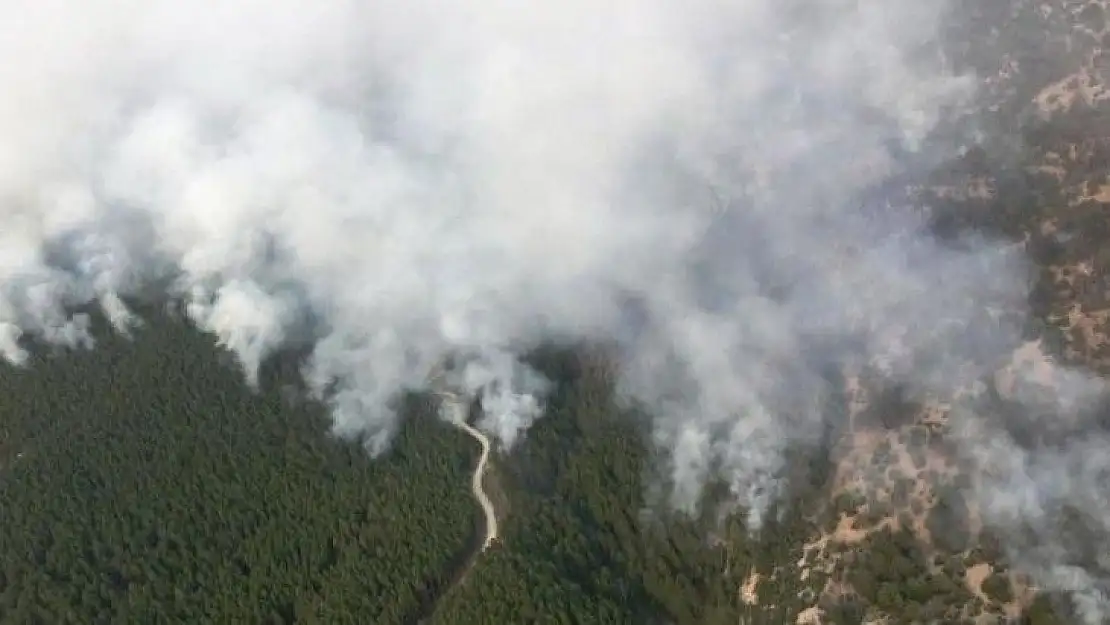 Muğla'da yangınla mücadele hız kesmeden sürüyor