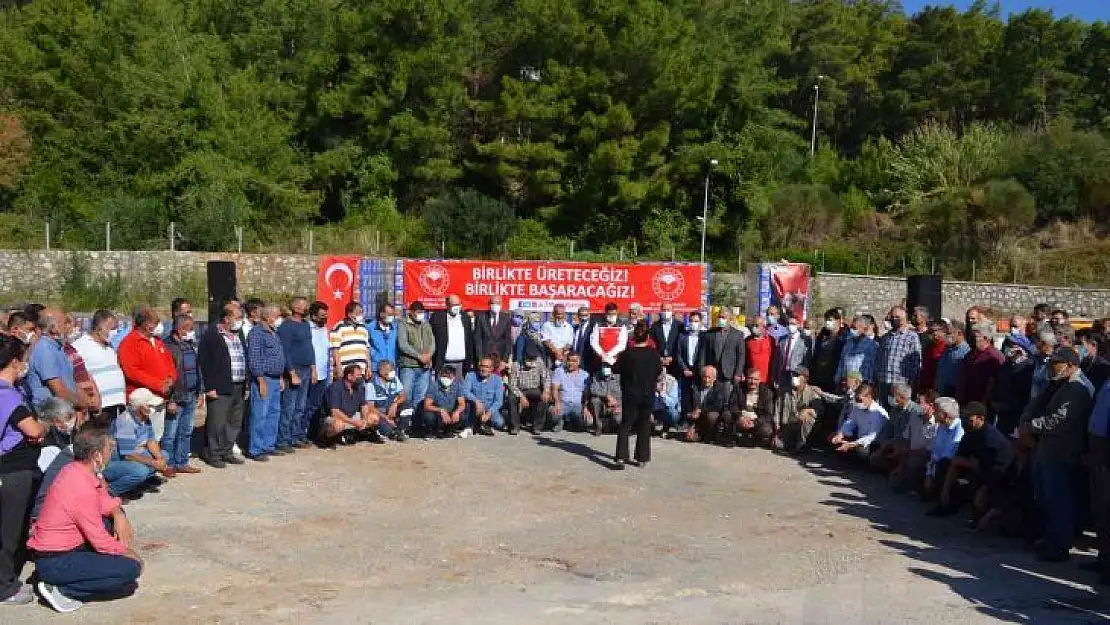 Muğla'da yangınlarda zarar gören arıcılara arı yemi desteği