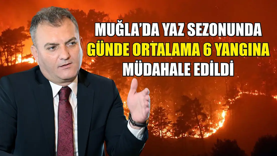 Muğla'da yaz sezonunda günde ortalama 6 yangına müdahale edildi