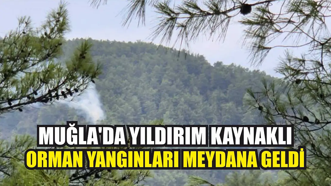 Muğla'da yıldırım kaynaklı orman yangınları meydana geldi