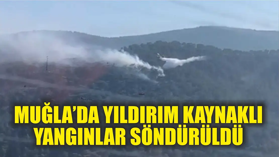 Muğla'da yıldırım kaynaklı yangınlar söndürüldü