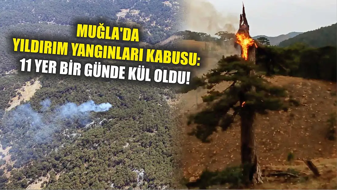 Muğla'da Yıldırım Yangınları Kabusu: 11 Yer Bir Günde Kül Oldu!