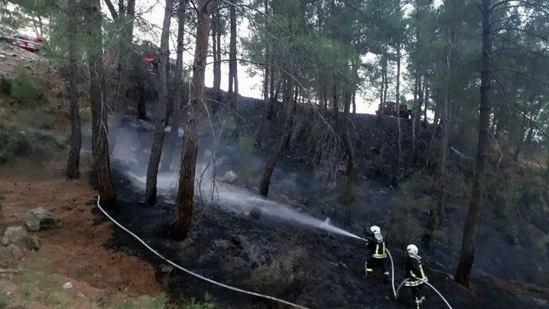 Muğla'da yılın ilk orman yangını