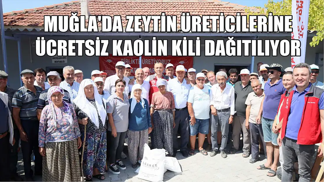 Muğla'da zeytin üreticilerine ücretsiz kaolin kili dağıtılıyor