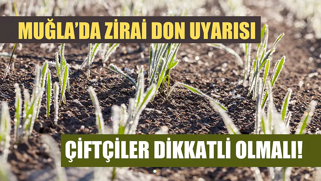 Muğla'da Zirai Don Uyarısı: Çiftçiler Dikkatli Olmalı!