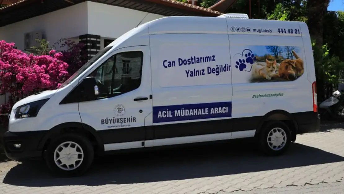 Muğla'daki can dostlar için 'Acil Müdahale' aracı devreye girdi