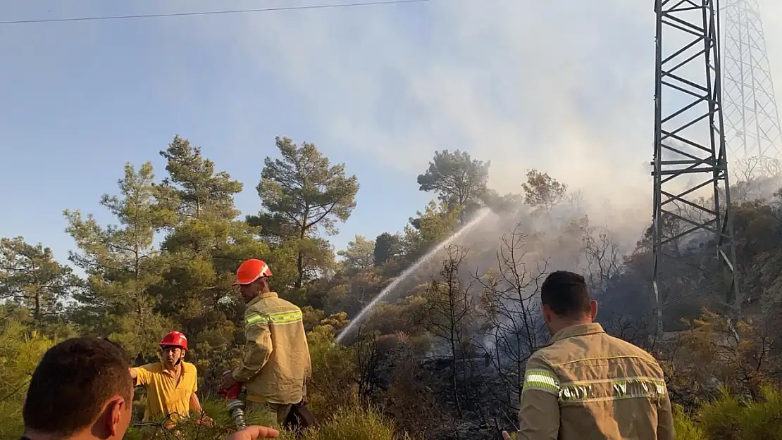 Muğla'daki orman yangını büyümeden kontrol altına alındı