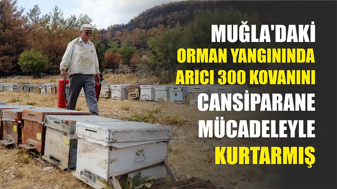 Muğla'daki orman yangınında arıcı 300 kovanını cansiparane mücadeleyle kurtarmış