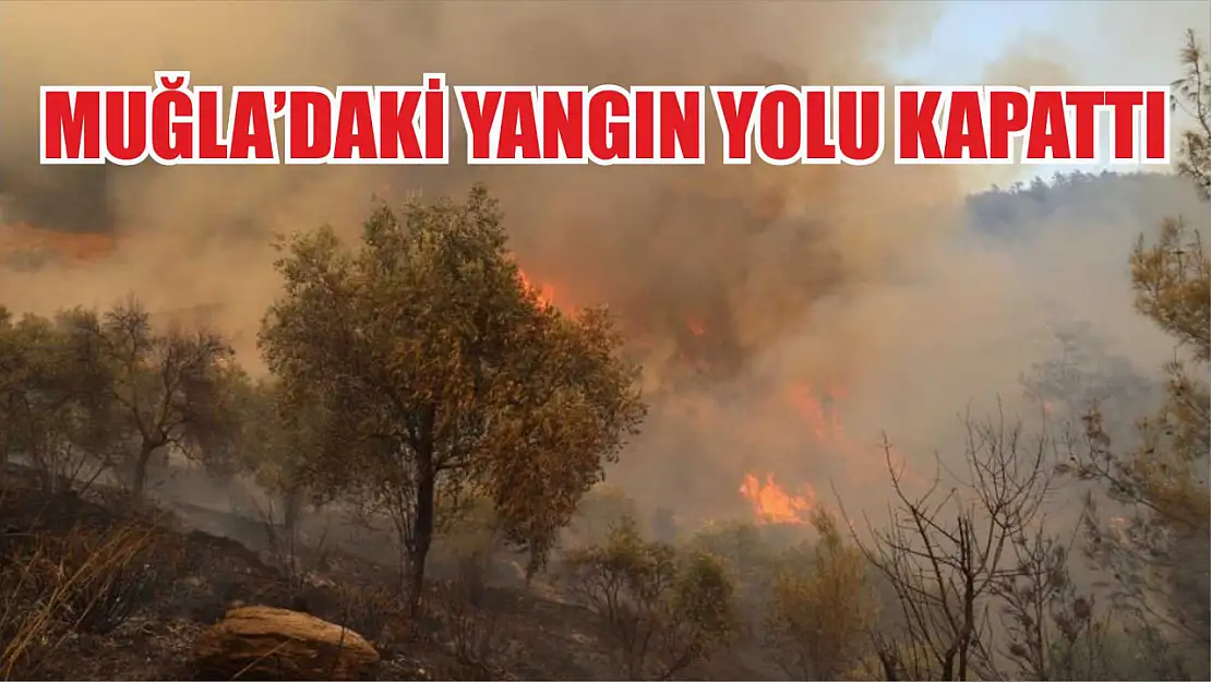 Muğla'daki yangın yolu kapattı