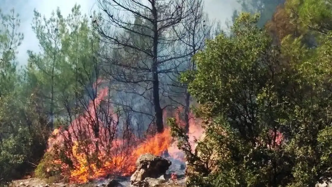 Muğla'daki yangınlar kontrol altına alındı