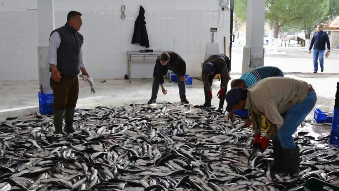 Muğla, Ege Bölgesi'nde ihracatını en çok artıran ikinci il oldu