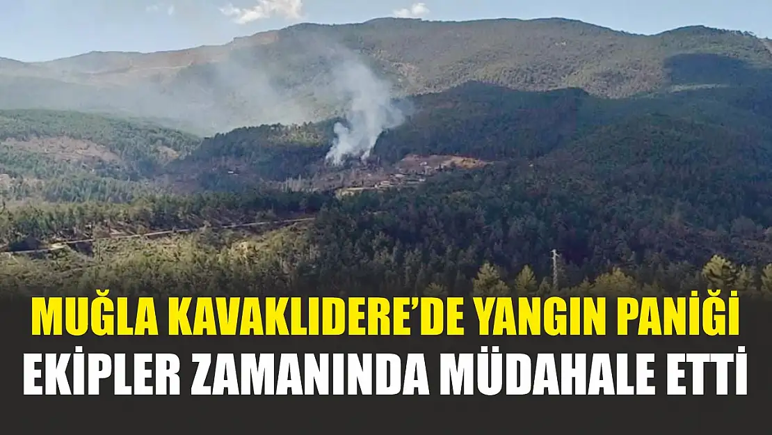 Muğla Kavaklıdere'de yangın paniği: Ekipler zamanında müdahale etti