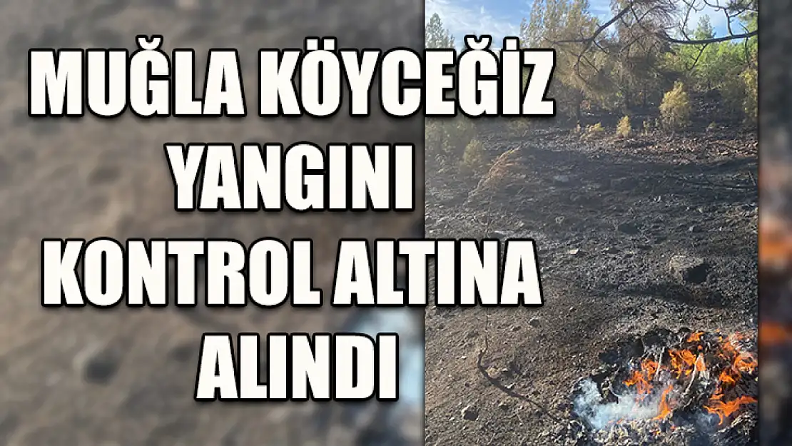 Muğla Köyceğiz yangını kontrol altına alındı