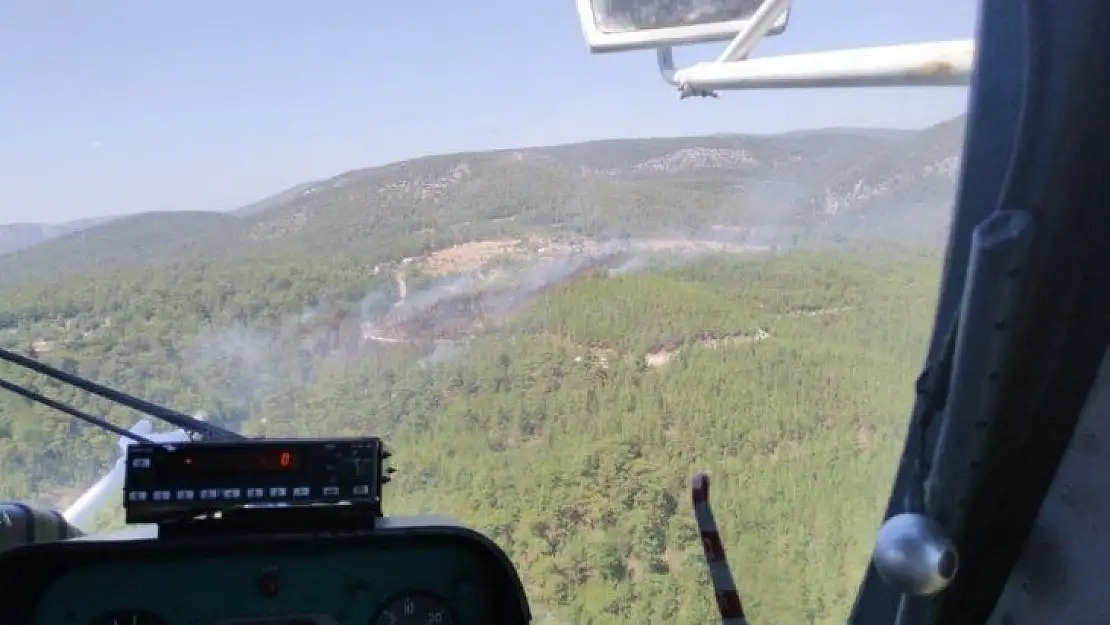 Muğla Milas'ta orman yangını