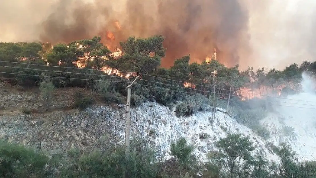 Muğla'nın bazı bölgelerinde yangın dolayısıyla elektrikler kesildi