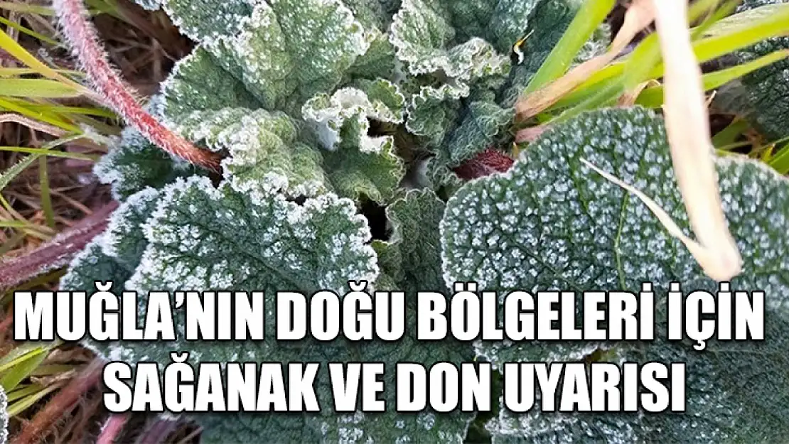 Muğla'nın Doğu bölgeleri için sağanak ve don uyarısı