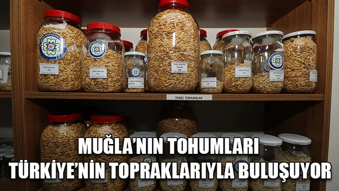 Muğla'nın Tohumları Türkiye'nin Topraklarıyla Buluşuyor