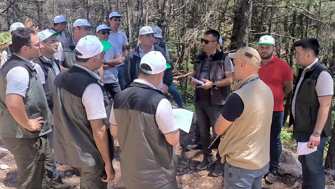 Muğla Orman Bölge Müdürlüğü'nde 'Orman Yol Ağı Planları' güncelleme eğitimi düzenlendi