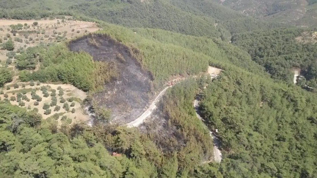 Muğla Orman Bölge Müdürlüğü'nün anında müdahalesi faciayı önledi