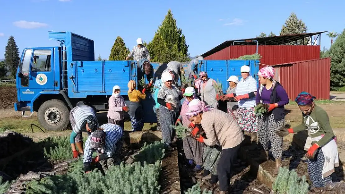 Muğla Orman Bölge Müdürü, 11 Kasım'a Hazır