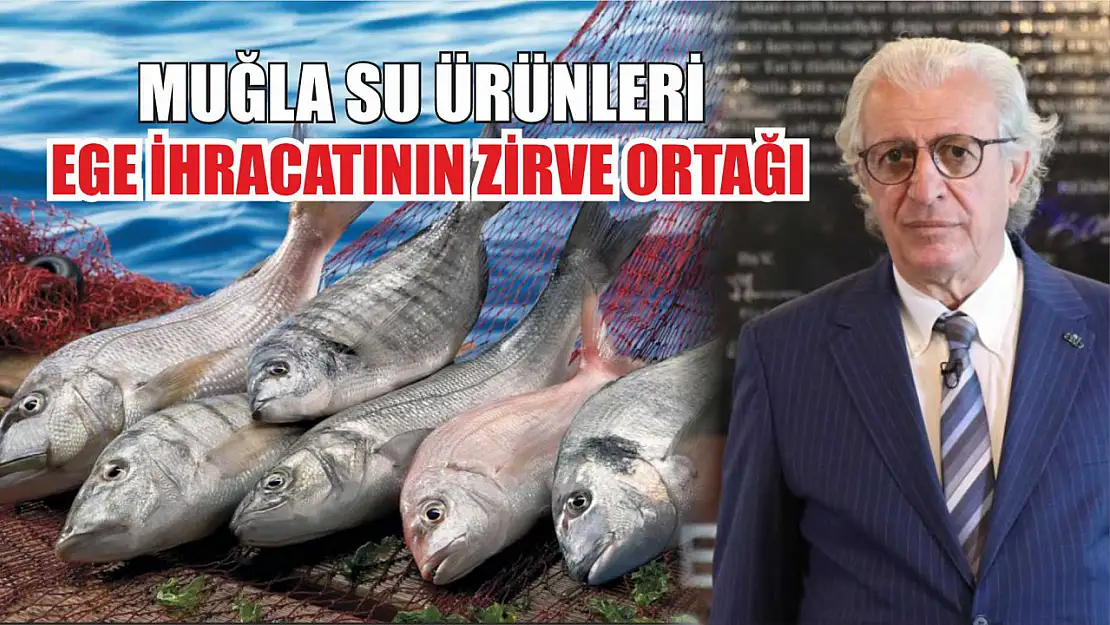 Muğla su ürünleri Ege ihracatının zirve ortağı