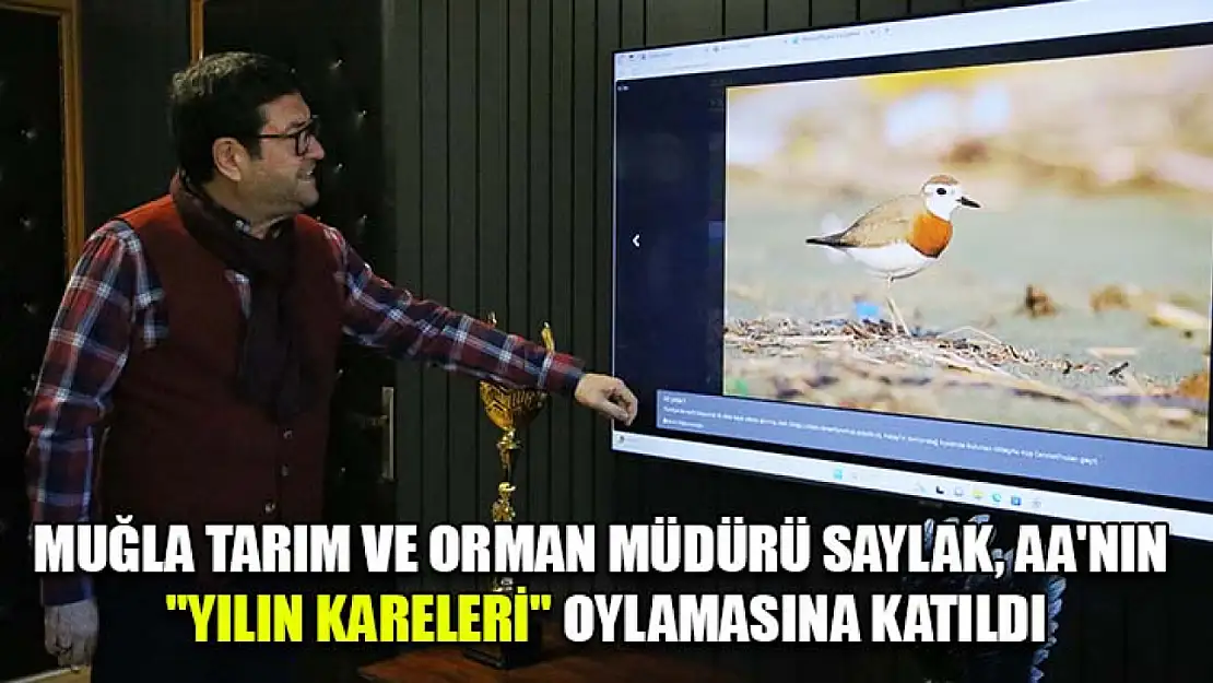 Muğla Tarım ve Orman Müdürü Saylak, AA'nın 'Yılın Kareleri' oylamasına katıldı