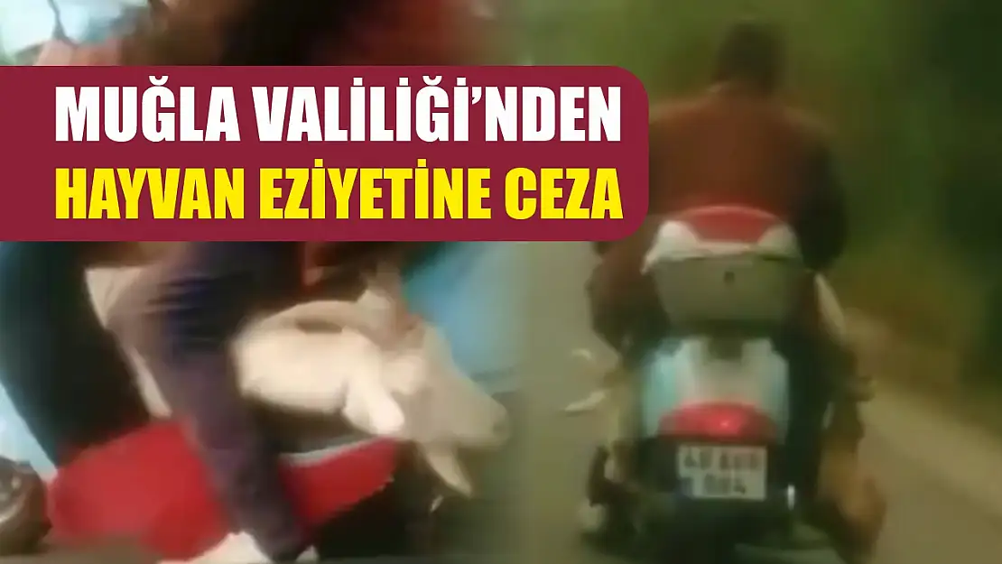 Muğla Valiliği'nden hayvan eziyetine ceza
