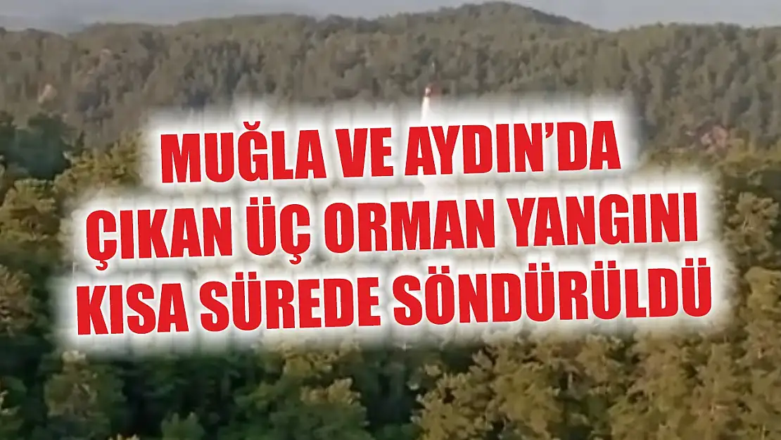Muğla ve Aydın'da çıkan üç orman yangını kısa sürede söndürüldü