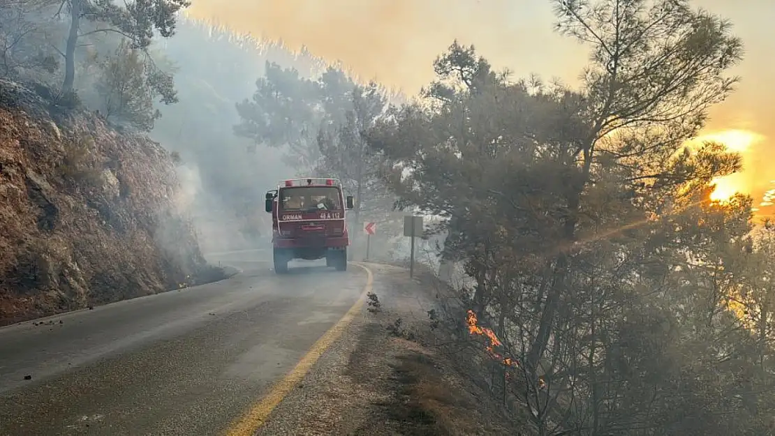 Muğla'yı orman yangınları esir aldı