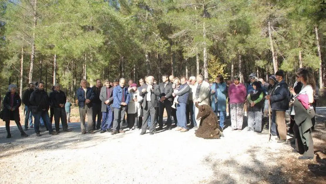 Muhtar Gözyaşlarına Boğuldu, 'Ağaçlarımızı Kesmeyin'