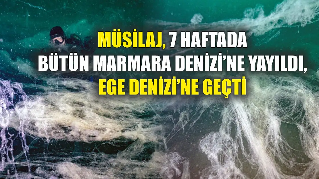 Müsilaj, 7 haftada bütün Marmara Denizi'ne yayıldı, Ege Denizi'ne geçti