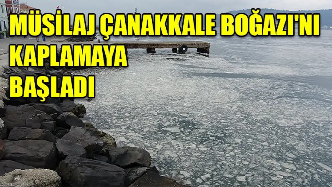 Müsilaj Çanakkale Boğazı'nı kaplamaya başladı