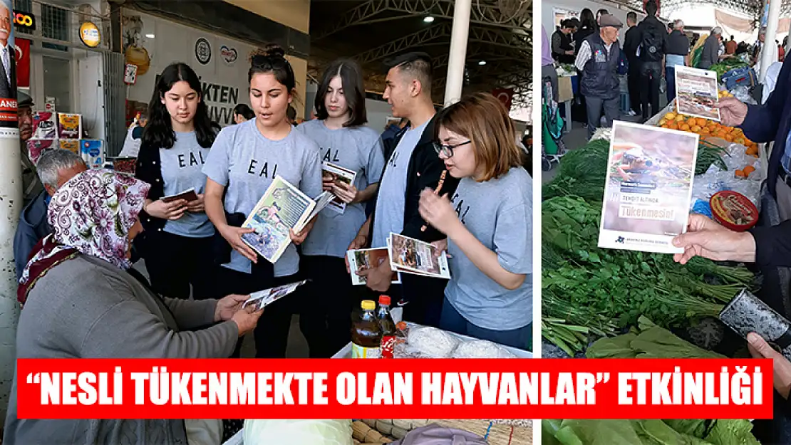 'Nesli Tükenmekte Olan Hayvanlar' Etkinliği