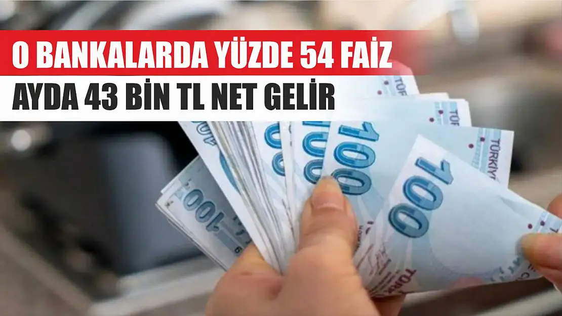 O bankalarda yüzde 54 faiz: Ayda 43 bin TL net gelir