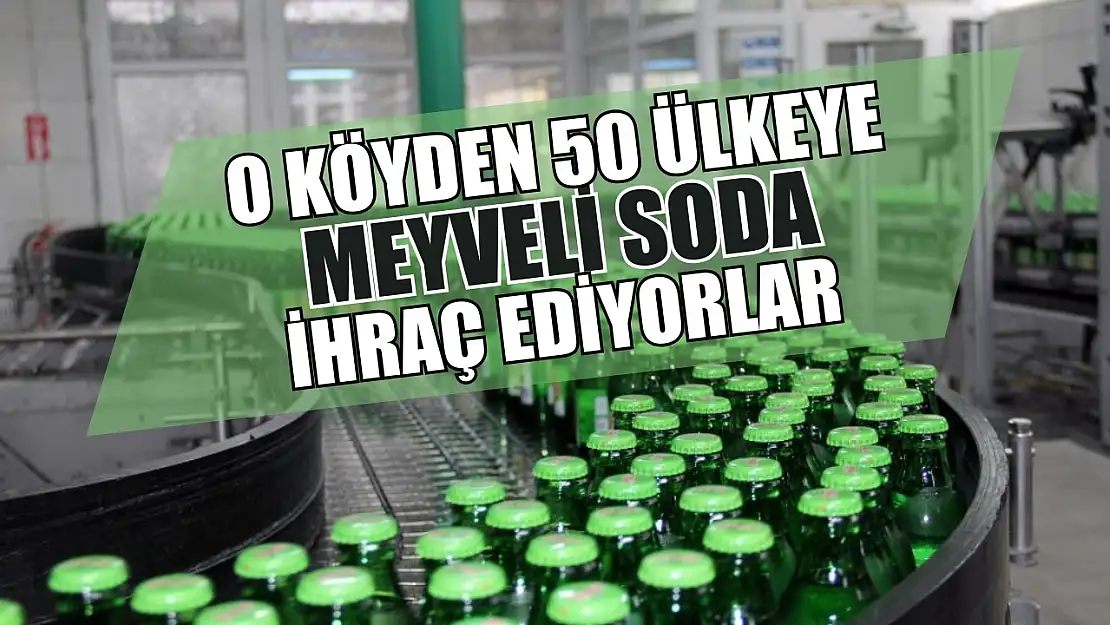 O köyden 50 ülkeye meyveli soda ihraç ediyorlar