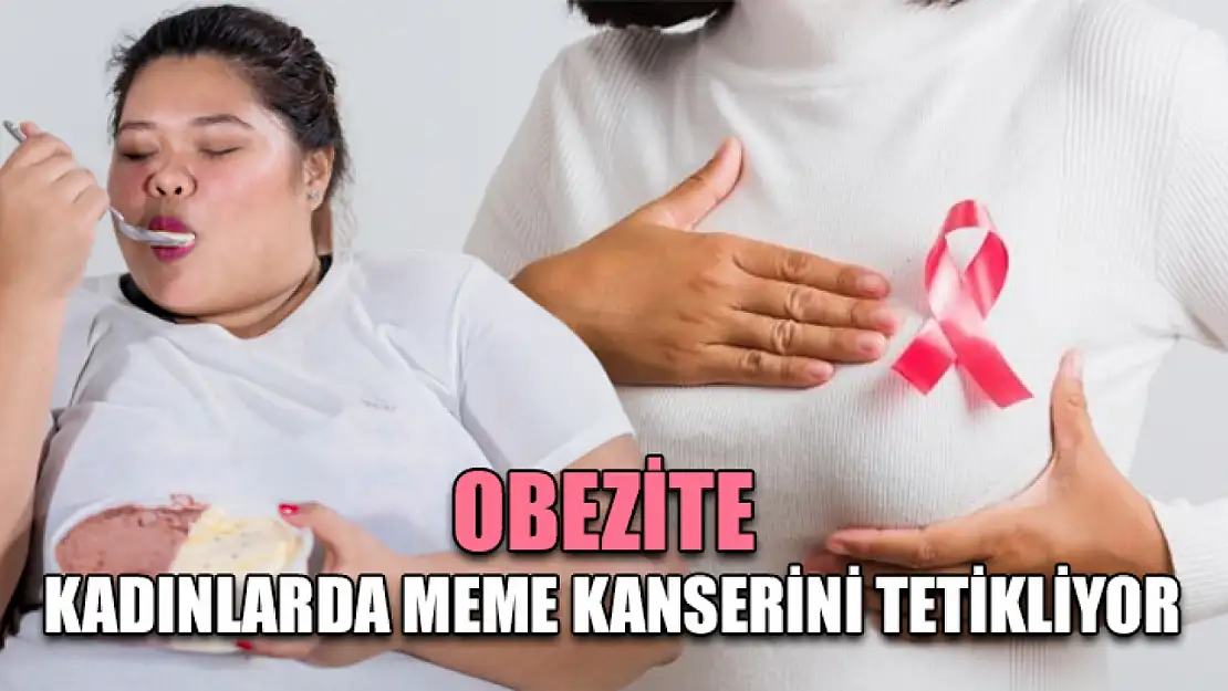 Obezite kadınlarda meme kanserini tetikliyor