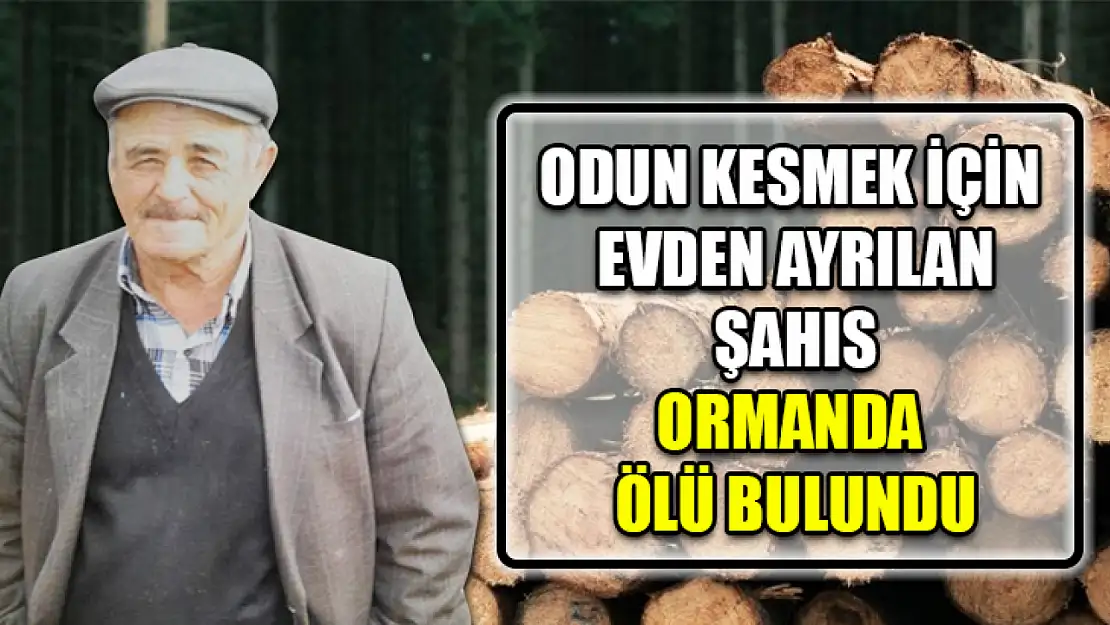 Odun Kesmek İçin Evden Ayrılan Şahıs Ormanda Ölü Bulundu