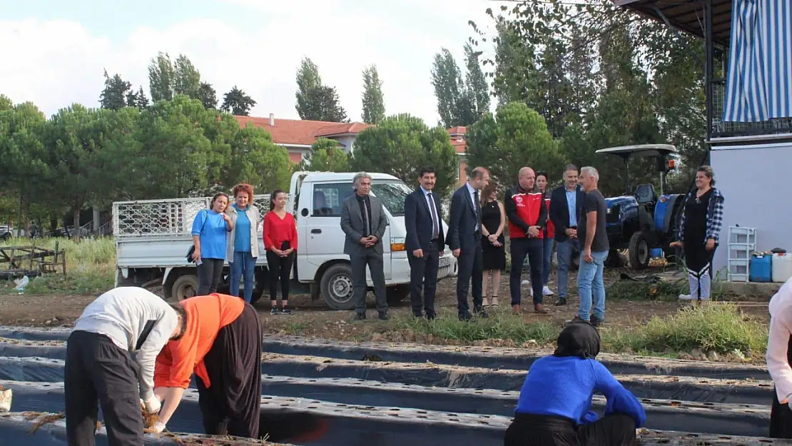 Öğrenciler tarımsal üretime devam ediyor