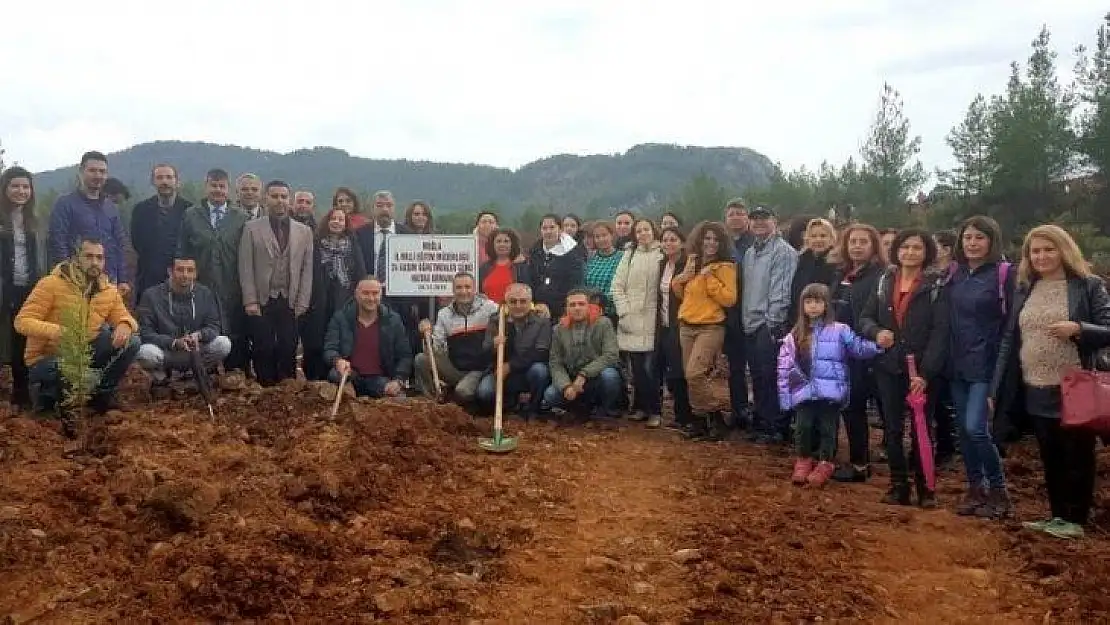 Öğretmenler Günü için 500 öğretmen 2 bin fidan dikti