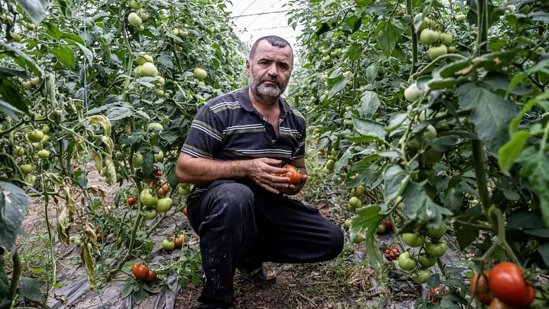 Öğretmenliği bırakarak çiftçiliğe başladı: Öğretmen maaşına 10 işçi çalıştırıyor