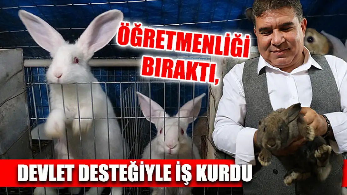 Öğretmenliği Bıraktı, Devlet Desteğiyle İş Kurdu