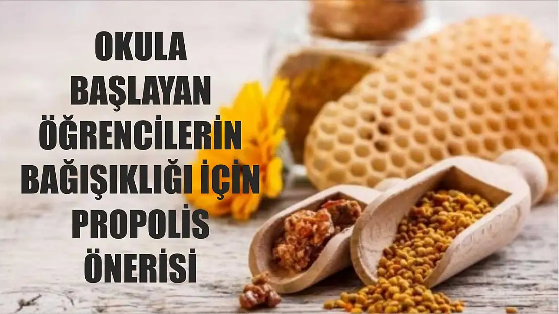 Okula başlayan öğrencilerin bağışıklığı için propolis önerisi