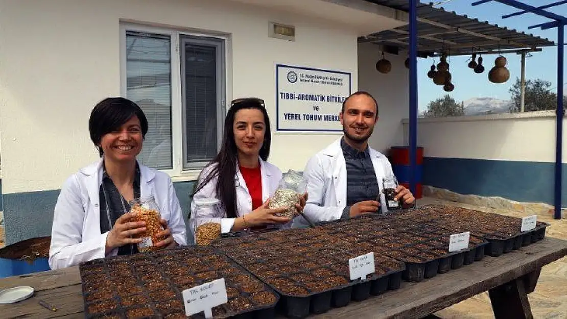 Okulların yerel tohumu Muğla Büyükşehirden