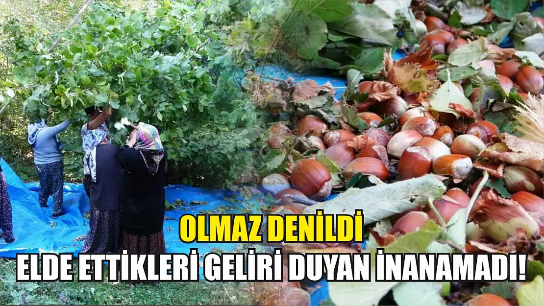 'Olmaz' denildi: Elde ettikleri geliri duyan inanamadı!