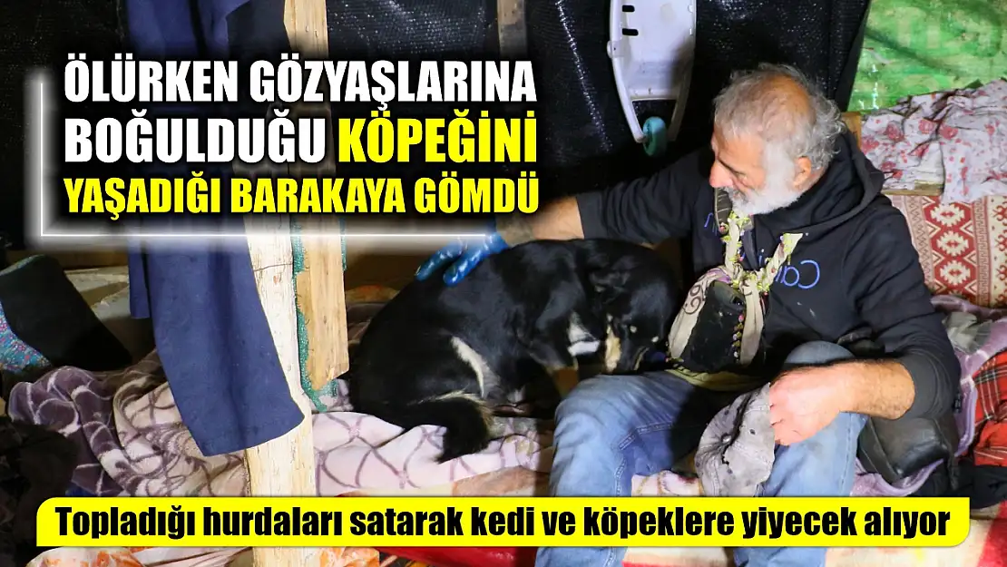 Ölürken gözyaşlarına boğulduğu köpeğini yaşadığı barakaya gömdü