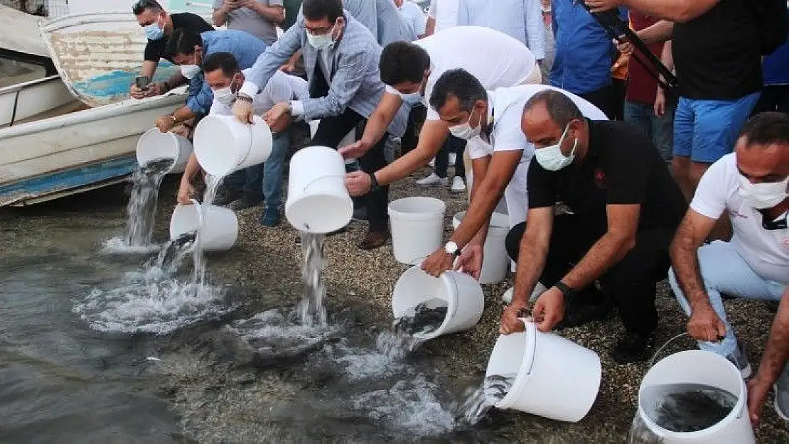 Önce denizi temizlediler sonra 30 bin yavru balığı denize bıraktılar