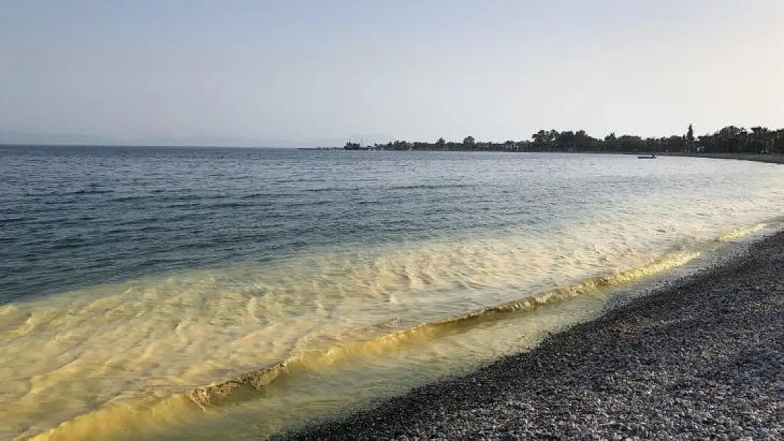 Ören'de sarı deniz görenleri şaşkına çevirdi