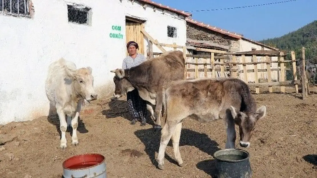 ORKÖY'den Aydın ve Muğla köylüsüne 4,5 milyon TL destek