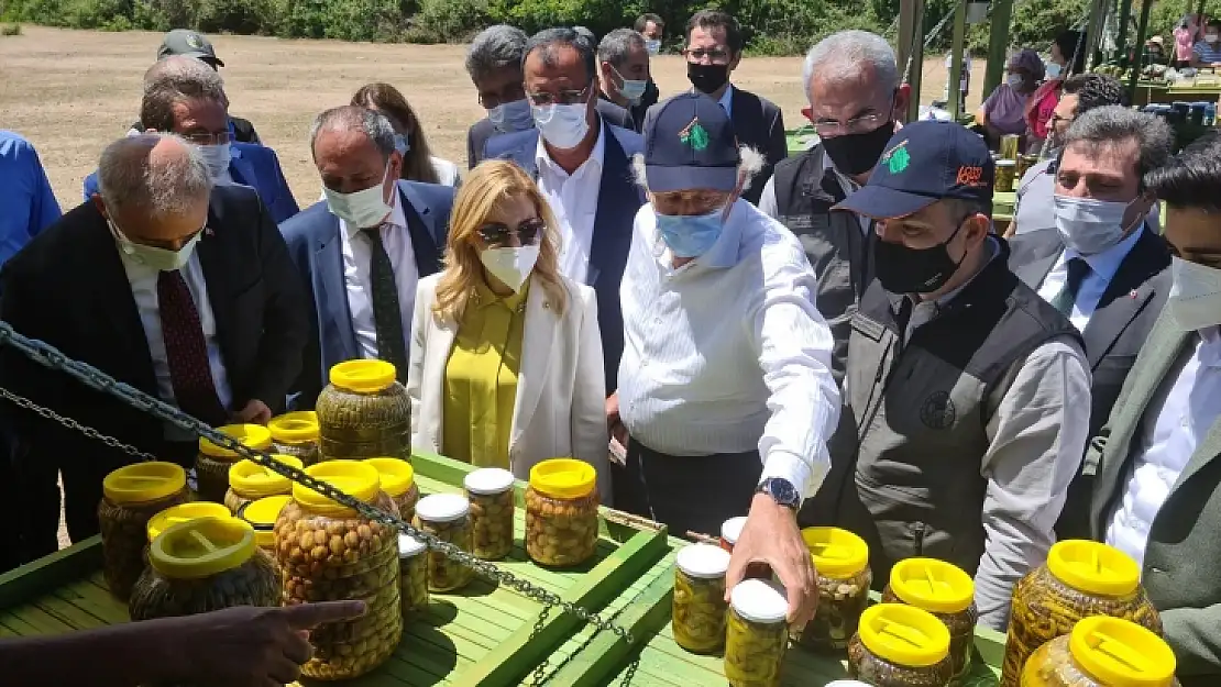 Orman Bakanı Bekir Pakdemirli Ekolojik Köy Projesi'ne katıldı